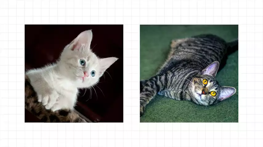 Machine Learning Foundations: Part 7 - Image augmentation and overfitting