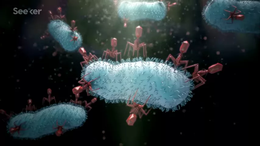 Future Batteries Could Be Made out of Viruses...