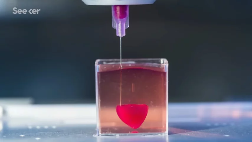The First Full-Size 3D Print of a Human Heart Is Here