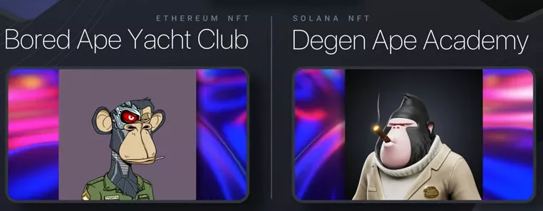 Solana NFTs: Best Bluechip Solana NFT Projects (Aurory, Portals, Degen Ape Academy)