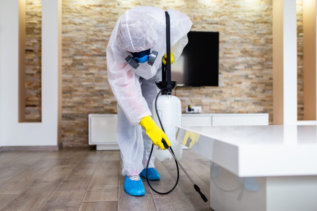 What can you expect from an NEA-certified disinfection service?