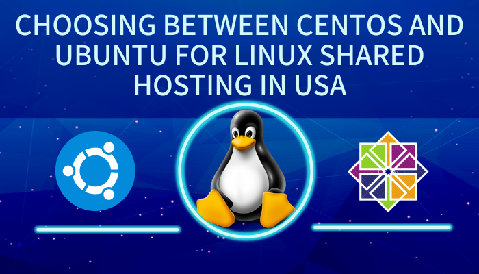 Choosing Between Centos and Ubuntu for Linux Shared Hosting in USA