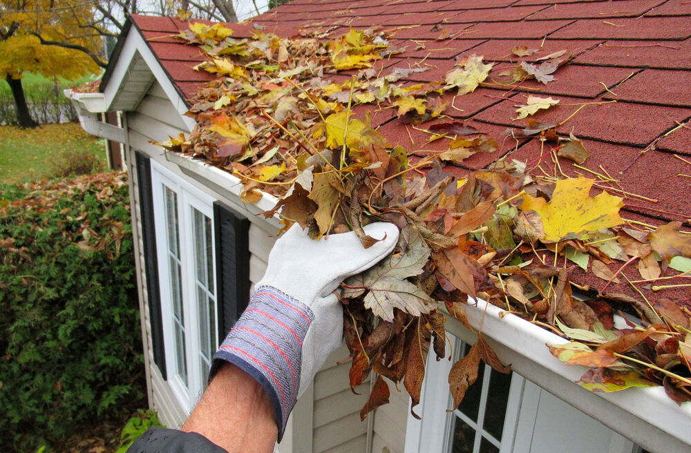 Gutter Cleaning in Markham
