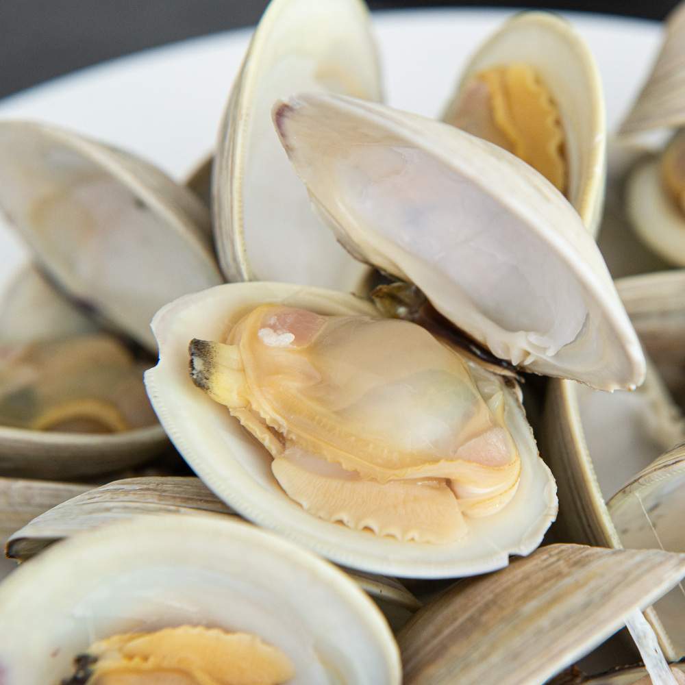 The best impressive Clams As Food