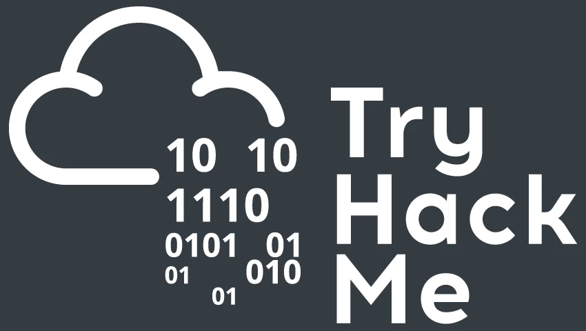 How Did Hacking Become the Next Trend for TryHackMe?