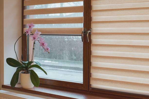 All You Need To Know About Double Roller Blinds: Advantages and Everything
