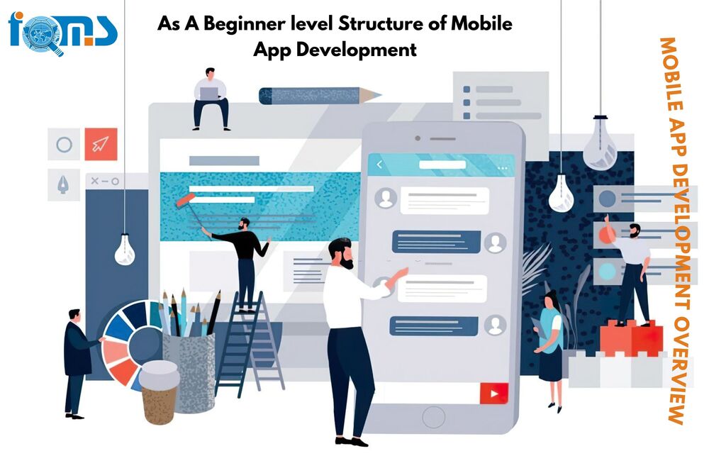 Beginner level of structure Mobile App Developer