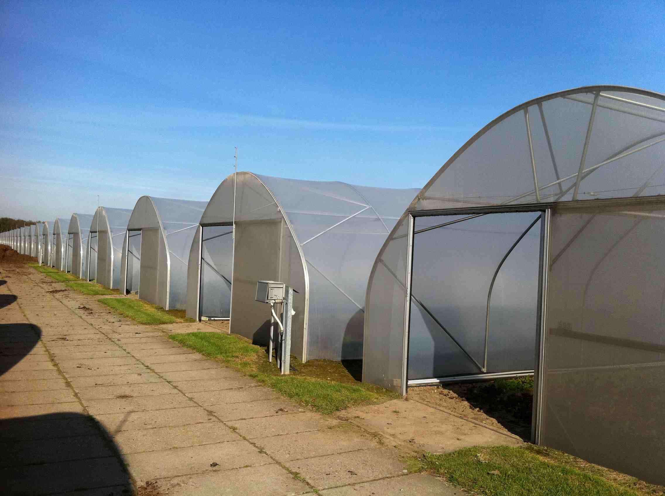 Major Benefits of Greenhouse Tunnels