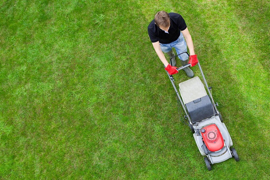 What Month Should You Start Mowing Your Lawn