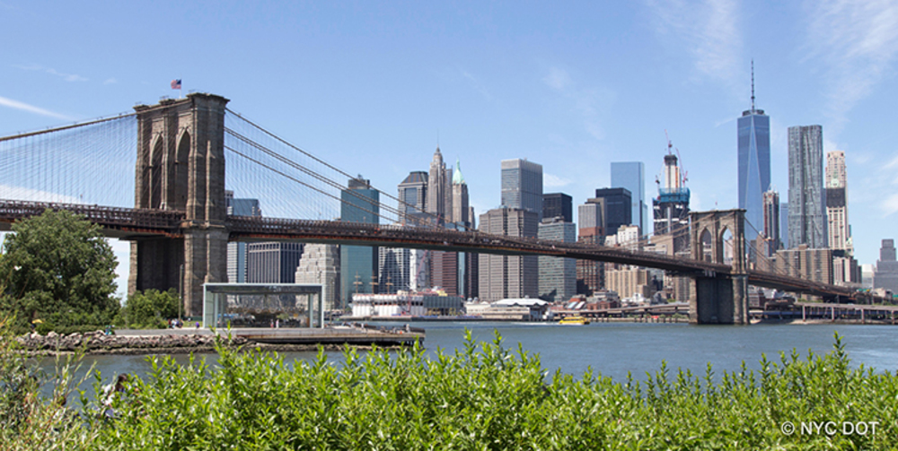 Top Attractions in New York