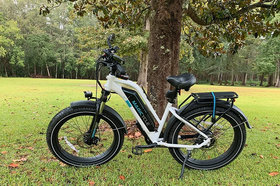 Best Fat Tire Electric Bike: The Ultimate Buyer Guide