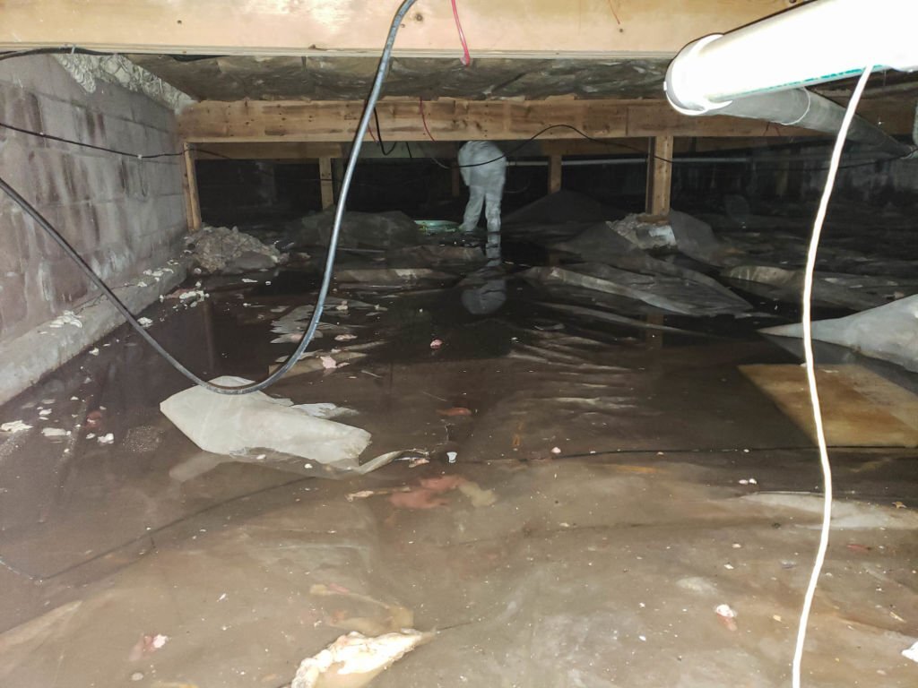 What does a restoration company do after a flood?