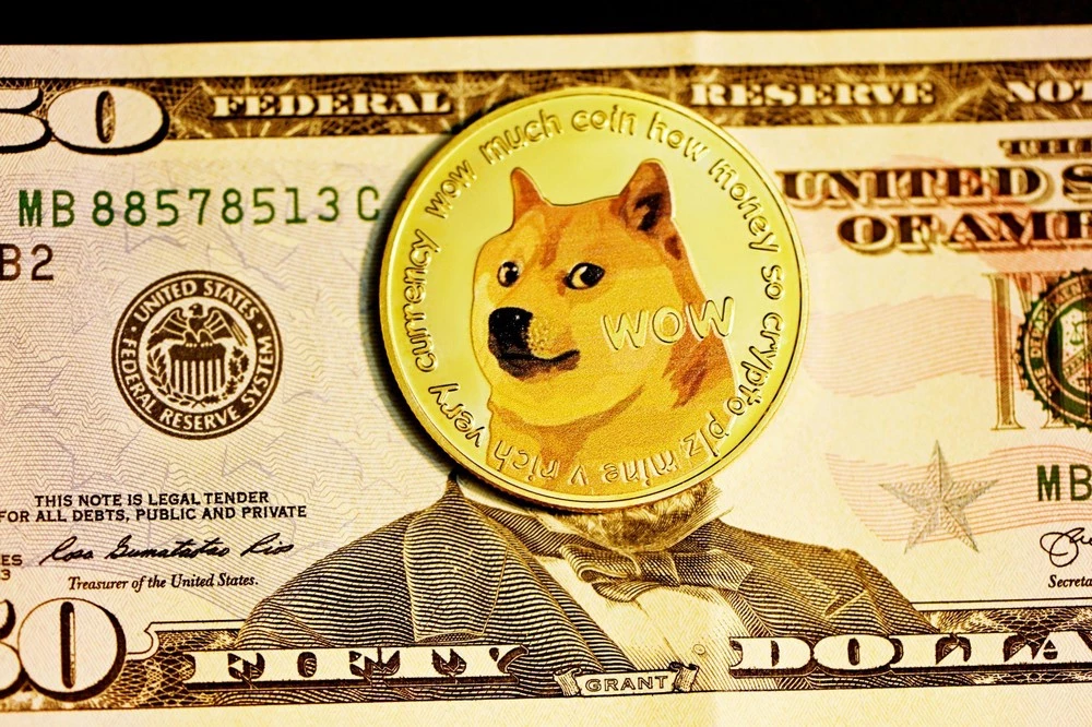 10 Unmissable Crazy Facts About Dogecoin