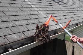 Gutter Cleaning Services in Dublin