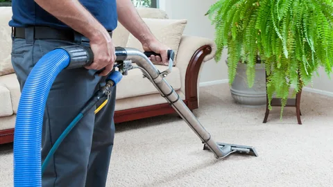 Carpet Steam Cleaning - Why Should You Opt For It?