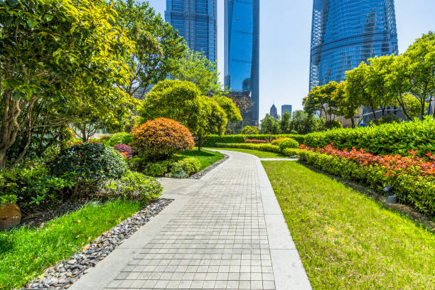 Creating the Perfect Outdoor Space for Your Commercial Property: Landscaping Ideas for Melbourne Businesses