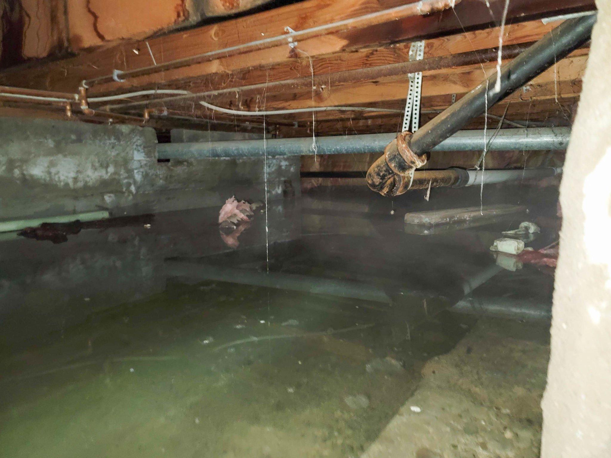 Restoration Water Damage : What You Need to Know