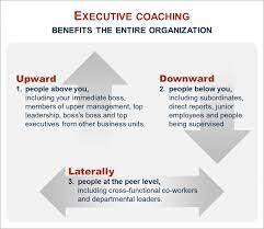 What is the difference between business coaching and executive coaching?