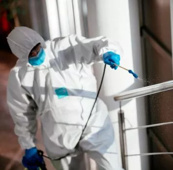 How To Choose The Right Pest Control Company For Your Needs