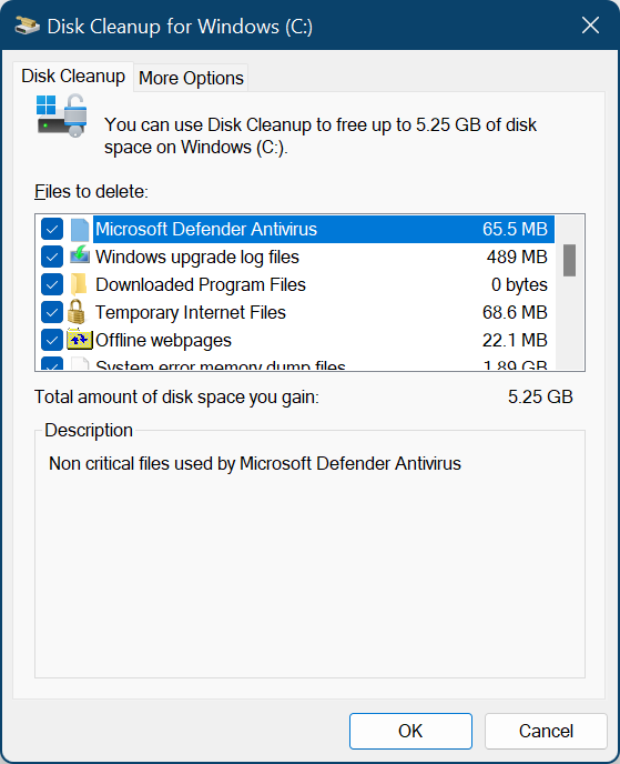 Disk Cleanup windows file