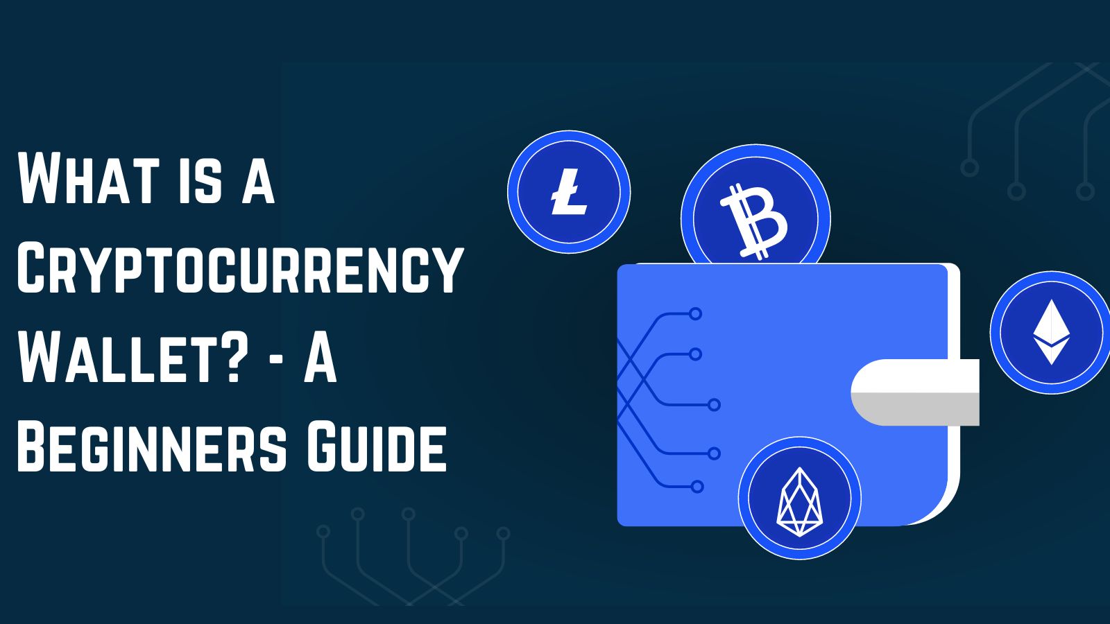 Cryptocurrency Wallet - A Complete Guide