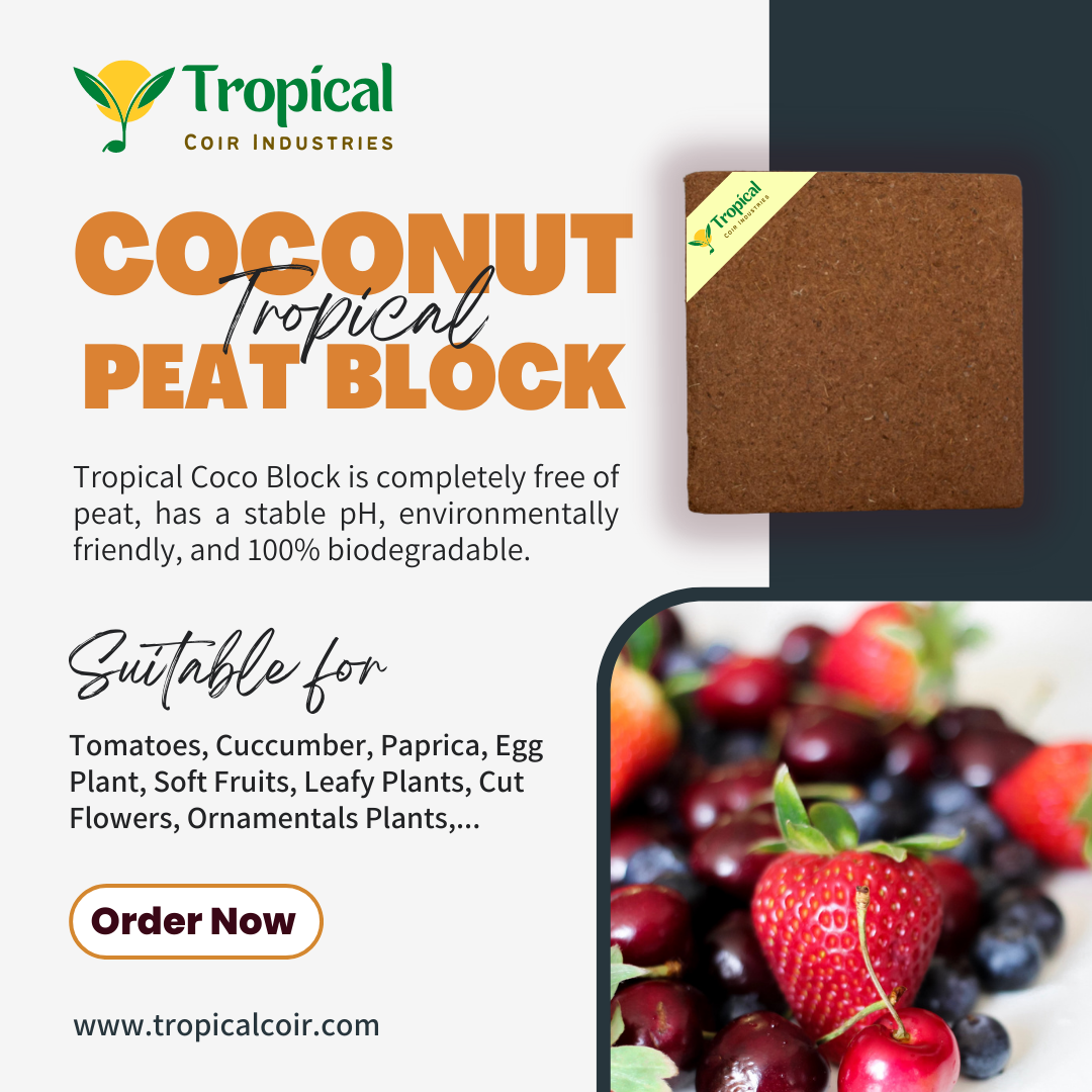 Coco Peat Blocks from Tropical Coir Industries