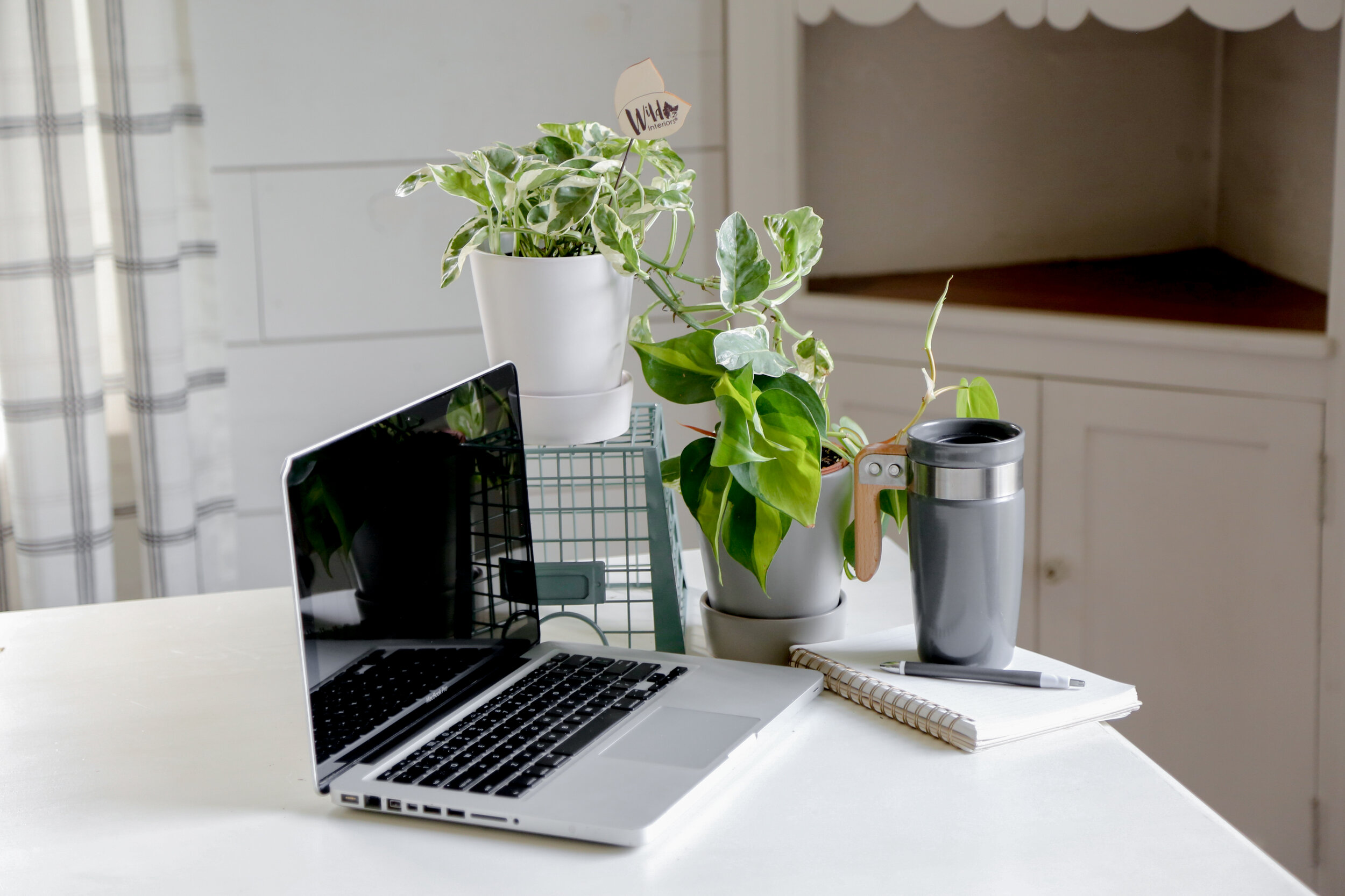 An indoor plant on the work deck beside a white open laptop
