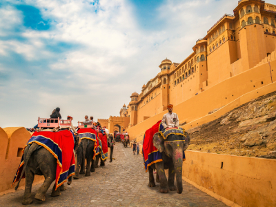 Enjoy Camel Safari In Jaisalmer While On Your Rajasthan Tour