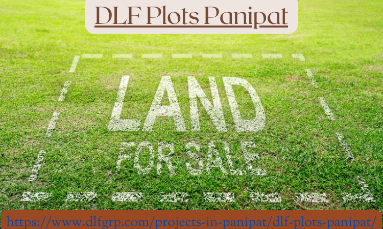 Upcoming Plotted Development in DLF Plots Panipat
