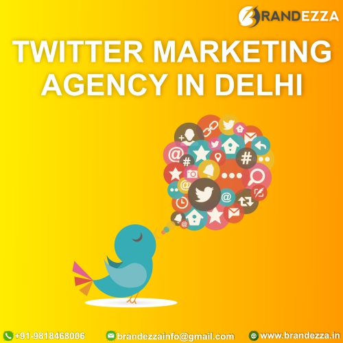 Looking for affordable twitter marketing agency in delhi