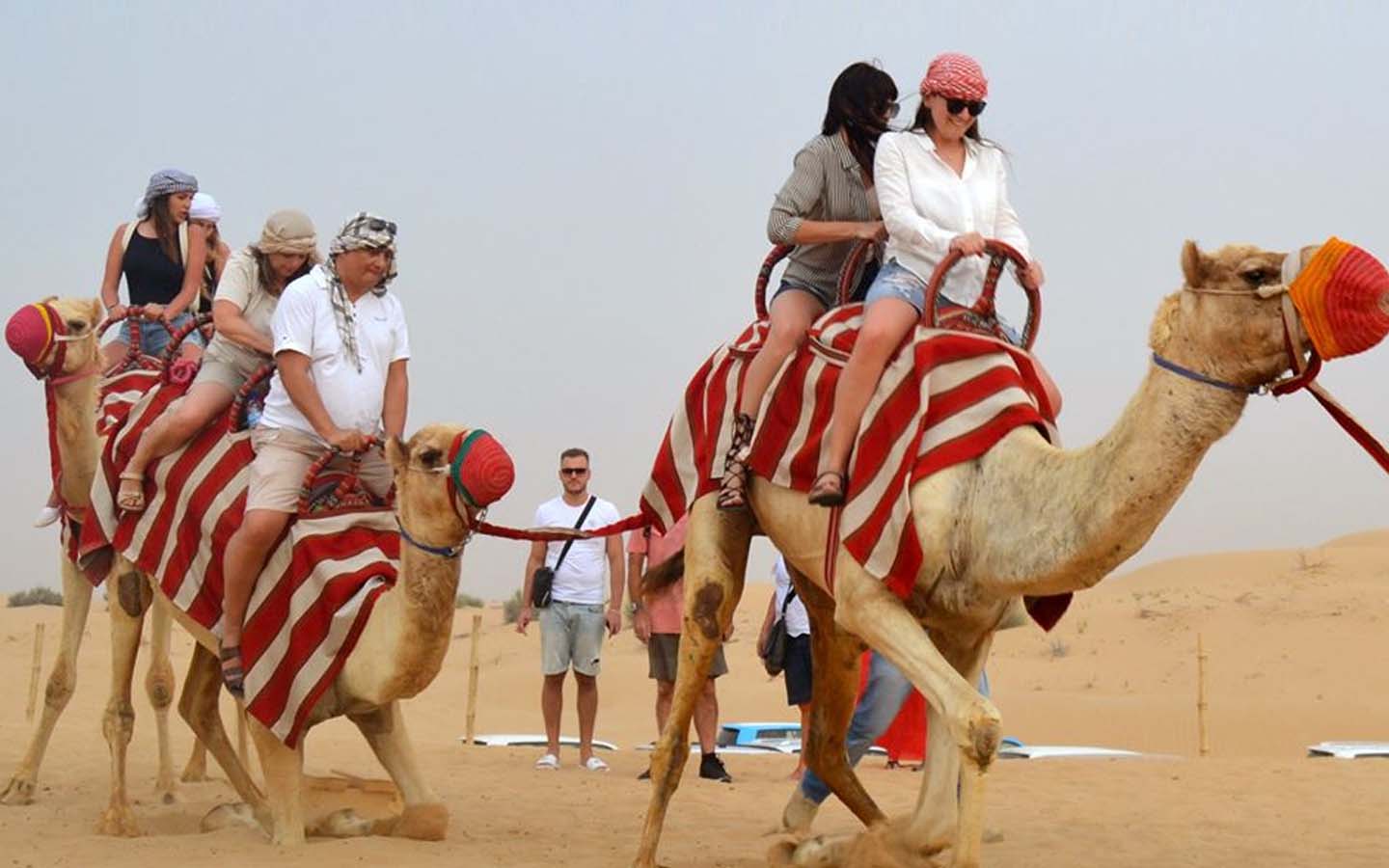 desert safari dubai camel ride