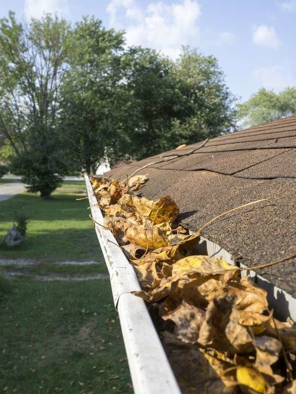 1. Clear Out the Gutters
