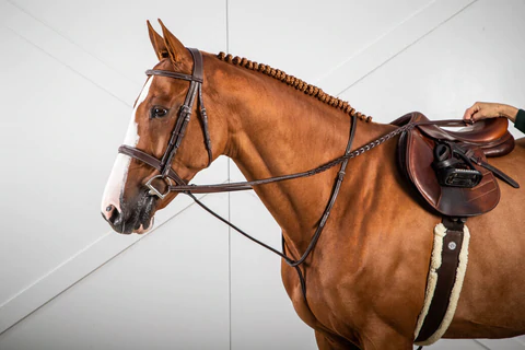 Understanding The Importance Of Horse Tack -  Vision Saddlery