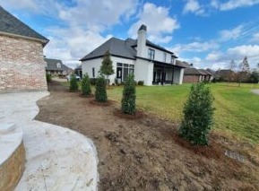 Hardscaping Services: Transform Your Outdoor Space with Landscape and Hardscape Design
