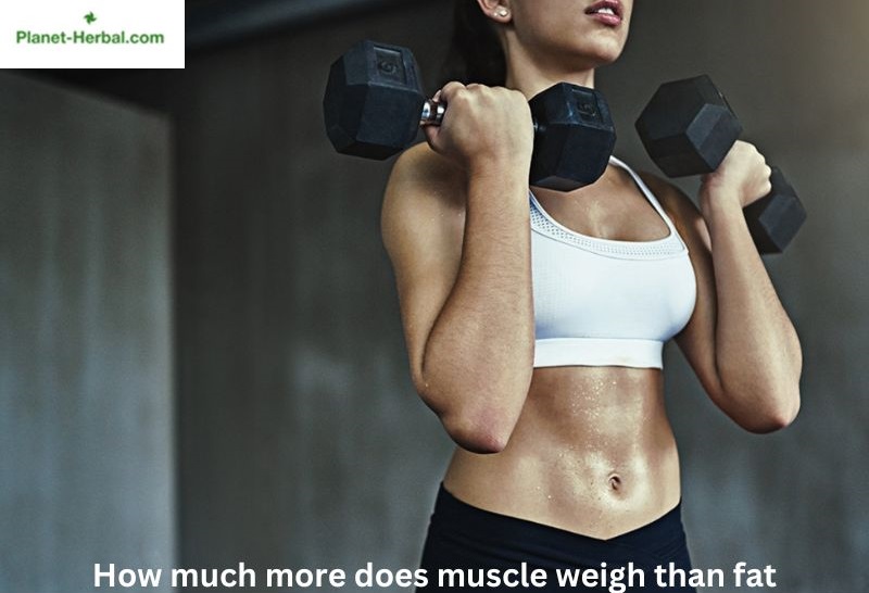 Understanding the Weight Difference: How Much More Does Muscle Weigh Than Fat?
