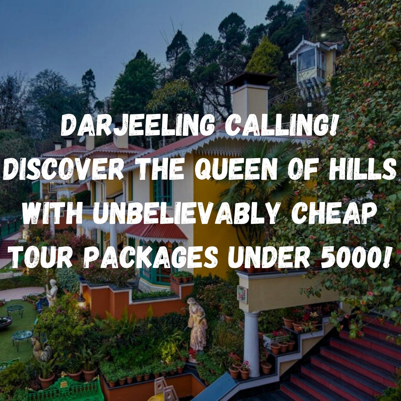 Darjeeling Calling! Discover the Queen of Hills with Unbelievably Cheap Tour Packages Under 5000!