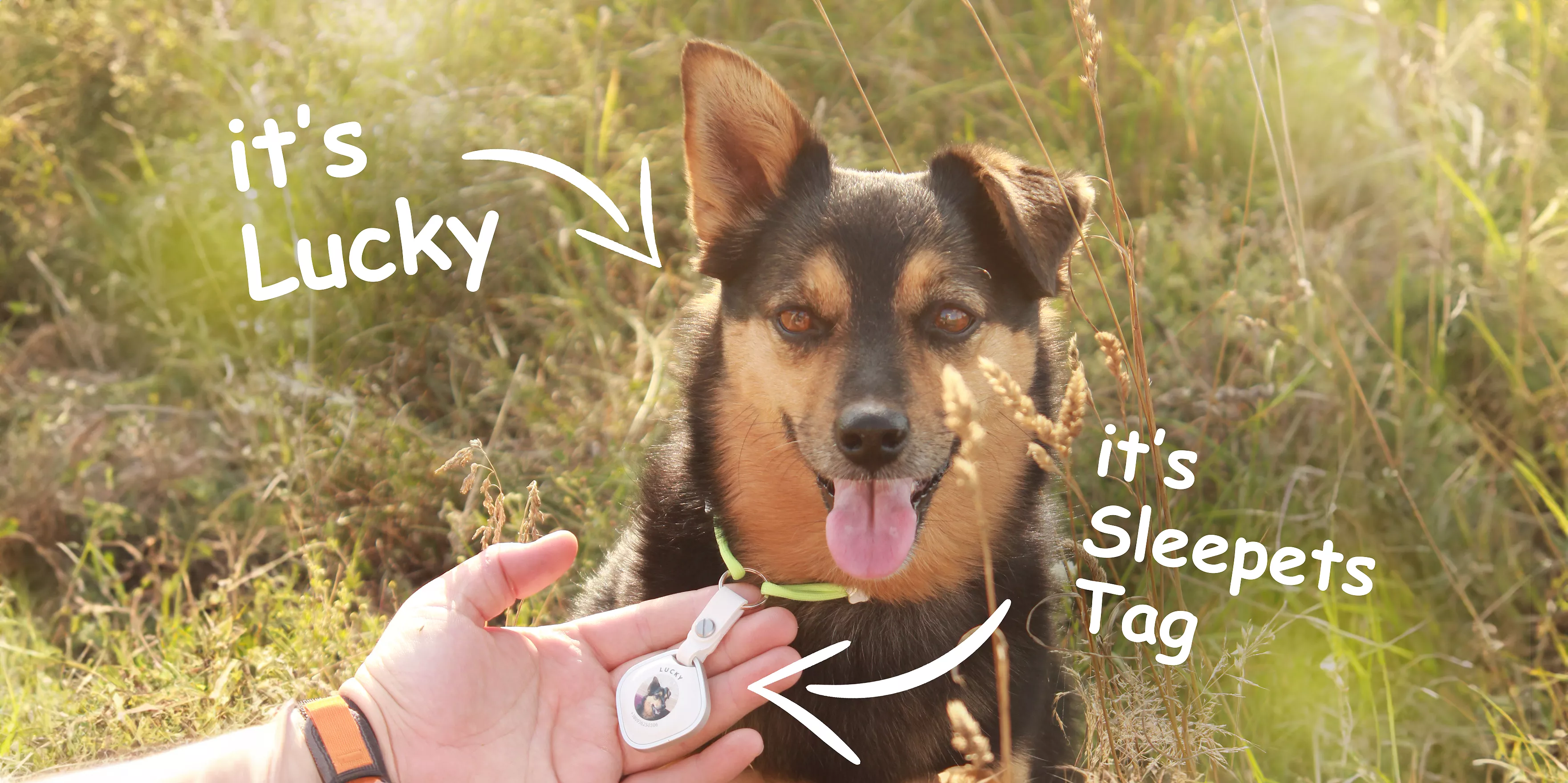 Sleepets Tag Review: Dog Tracker with Apple FindMy Support and Without Subscription