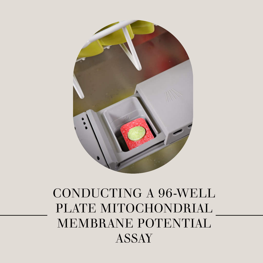 How to Conduct a 96-Well Plate Mitochondrial Membrane Potential Assay