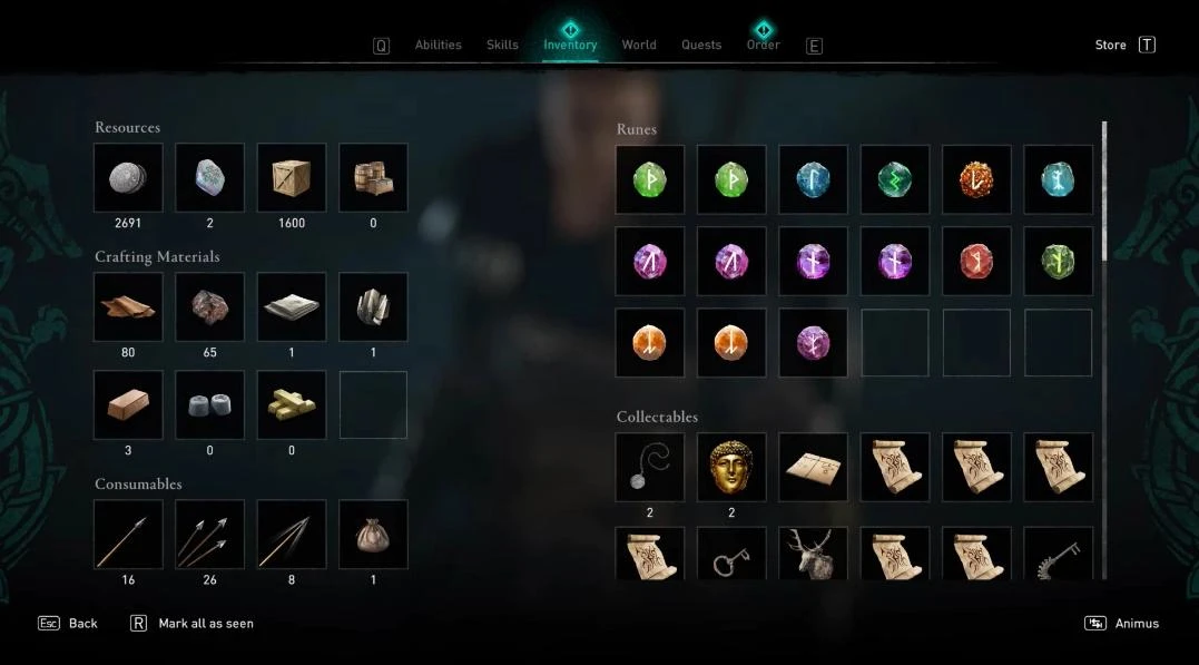 Inventory icons in Assasins Creed Valhalla