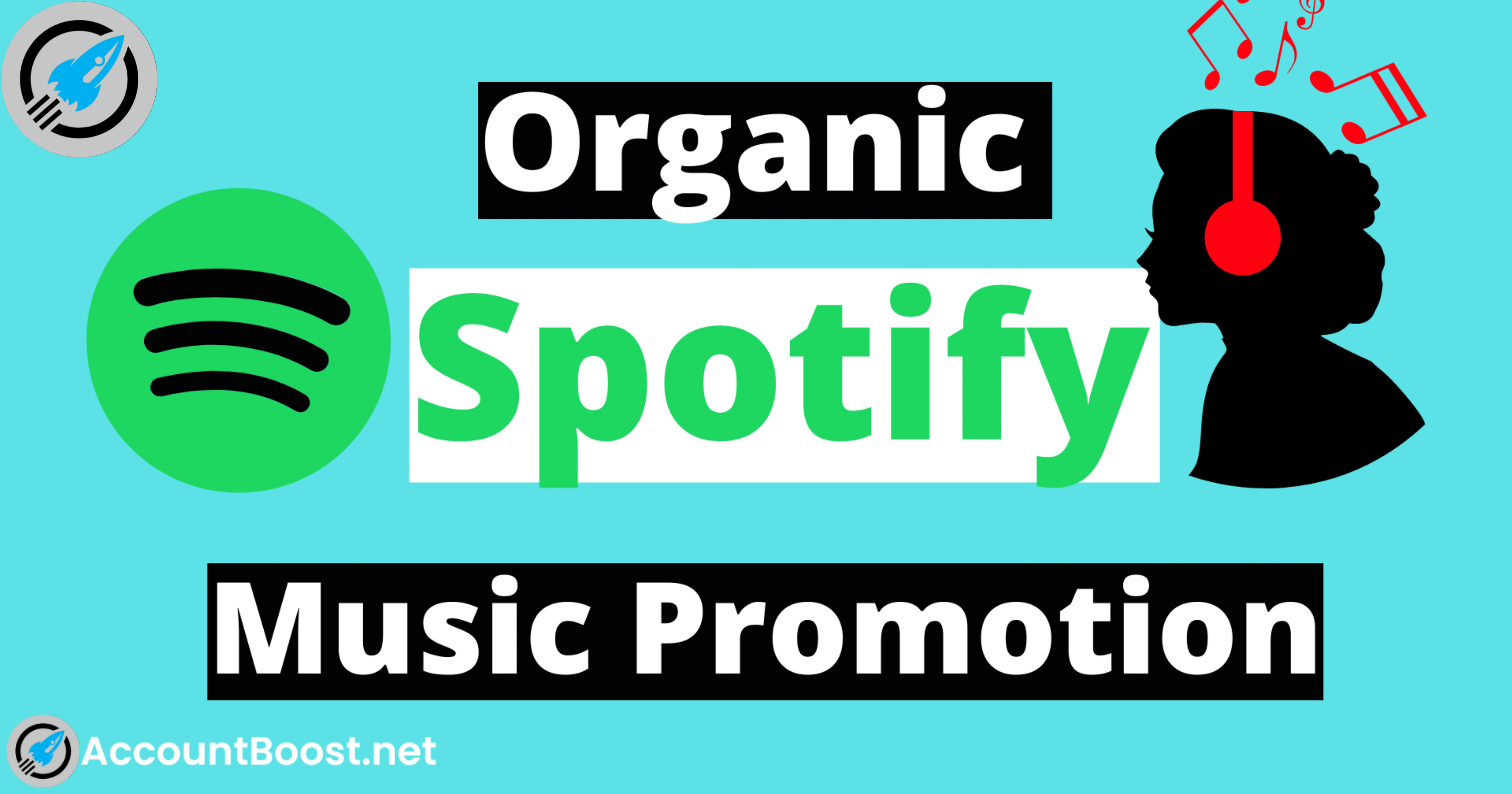 Spotify Music Promotion