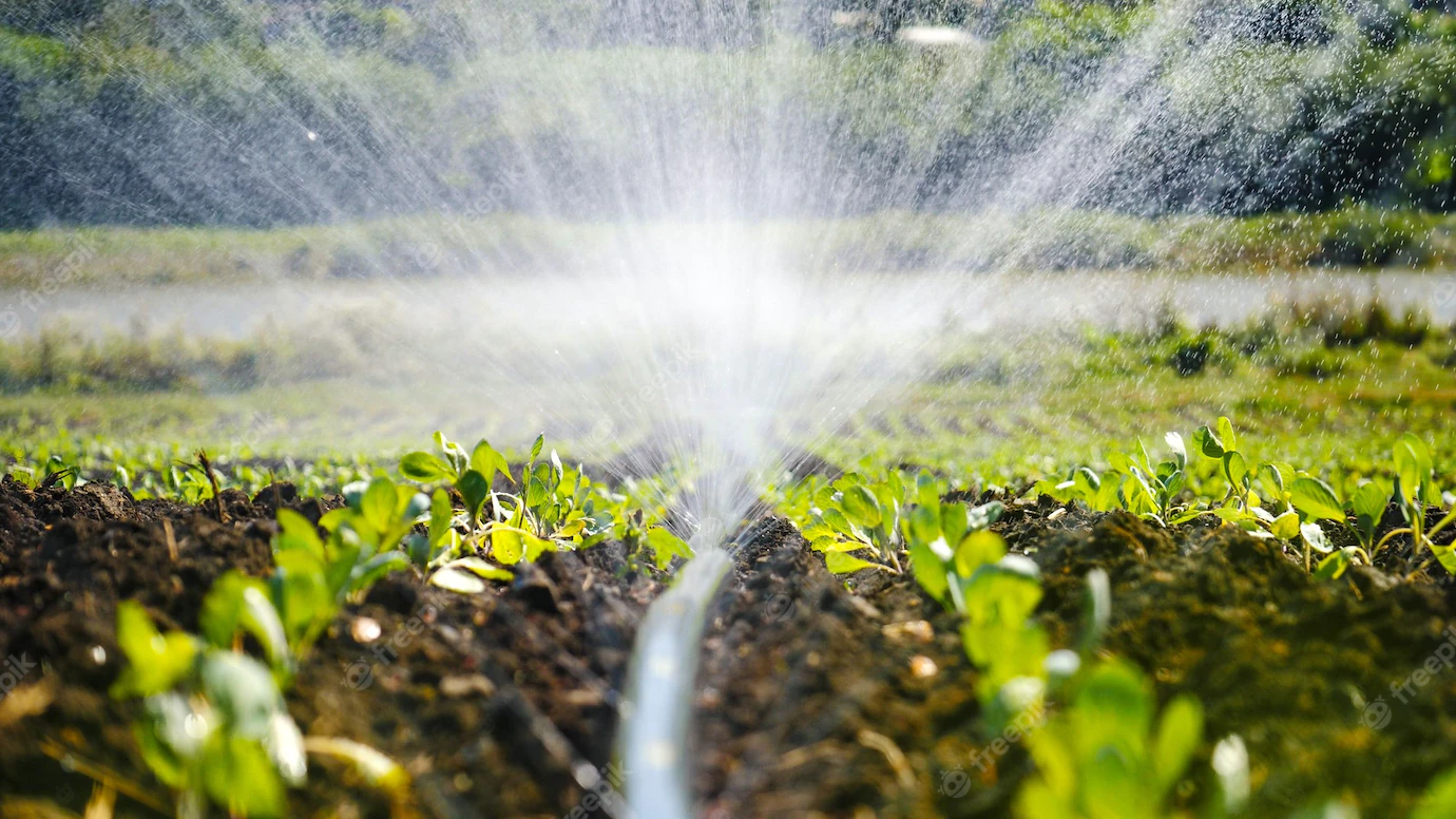 Smart Watering for Smart Gardens: Harnessing the Potential of Automatic Irrigation