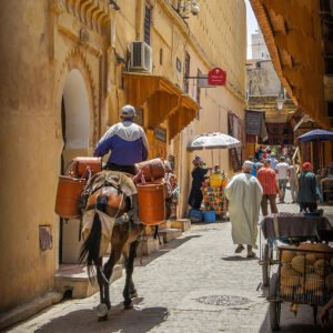 best of morocco tours