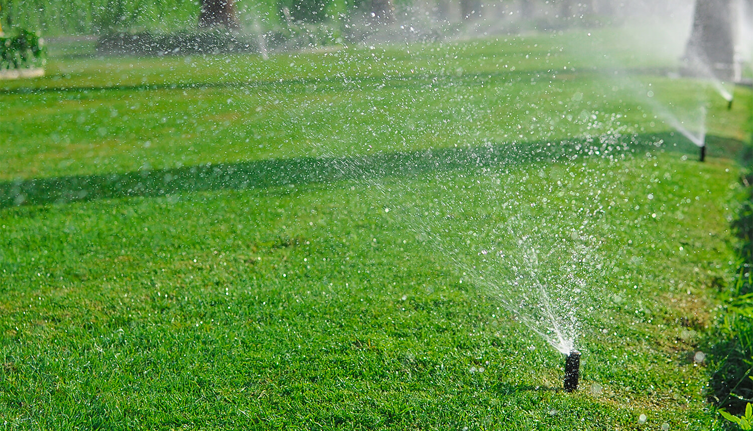 Why is irrigation system installation important in the UAE?