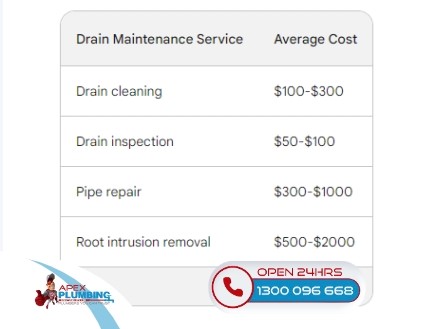 Image presents drain maintenance service costs