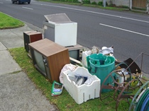 Categorising Garbage and Understanding Ideal Waste Disposal Strategies