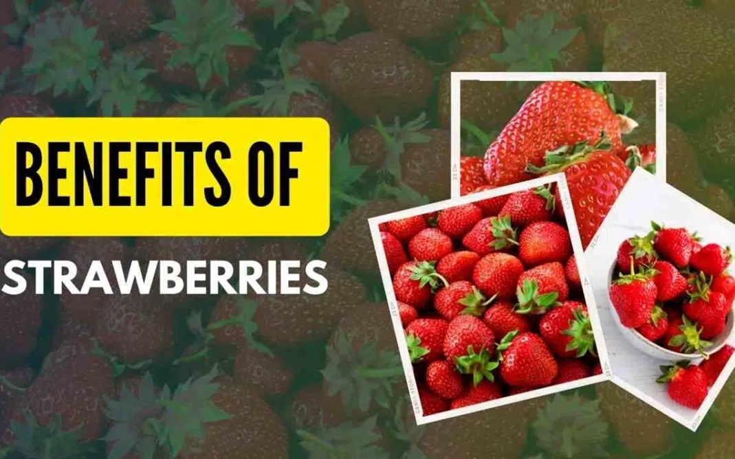 Berry Bliss: Exploring the Sweet Benefits of Strawberries