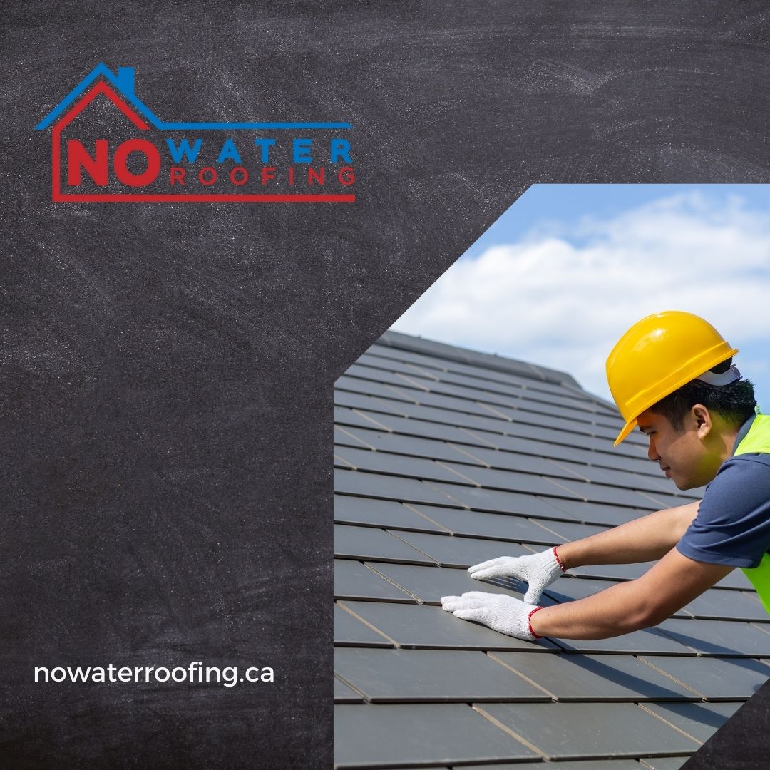Above All: Top-Tier Residential Roof Repair Services in Edmonton
