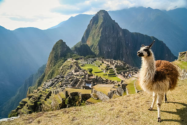 Machu Picchu Magic: 3-Day Adventure