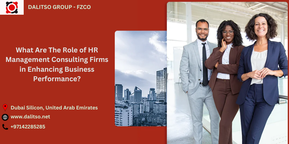 What Are The Role of HR Management Consulting Firms in Enhancing Business Performance?