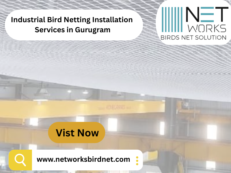 Industrial Bird Netting Installation Services in Gurugram-Network Bird Net